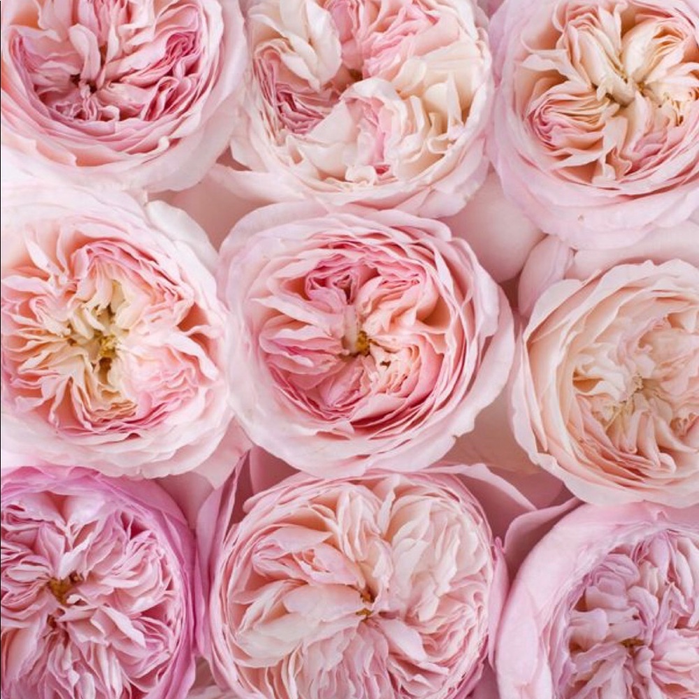 Open to offers! ❤️